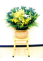生花ダルマ籠の写真